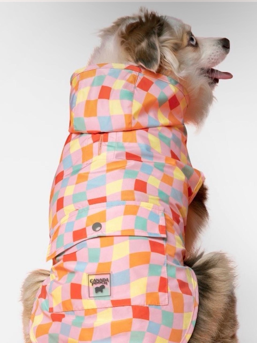 Canada Pooch Pick Me Poncho Multi Colred Checker Hooded Dog Coat